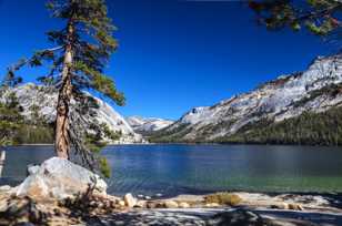 Tenaya Lake-4826.jpg Tenaya Lake-4826.jpg